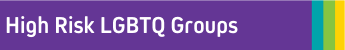 High Risk LGBTQ Groups Banner.png